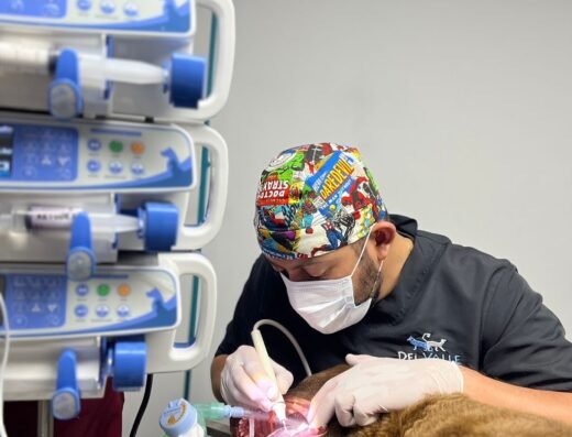 Clinica Veterinaria Del Valle