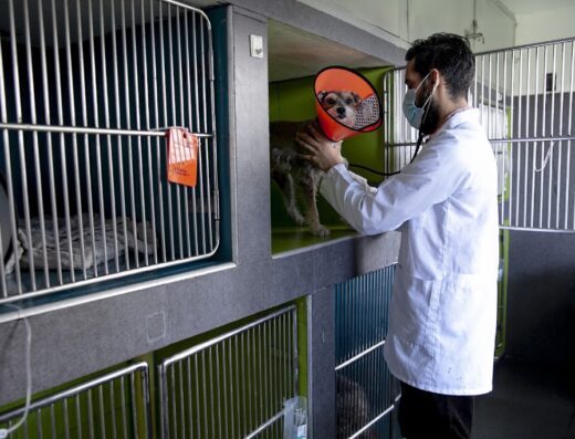 Clínica Veterinaria El Country