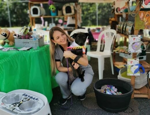 Clinica veterinaria la zona animal urgencias 24 horas