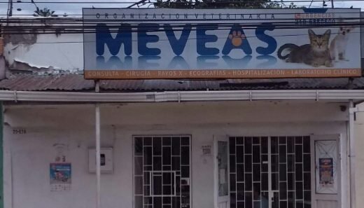 CLINICA VETERINARIA MEVEAS