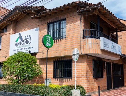 Clínica Veterinaria – San Antonio