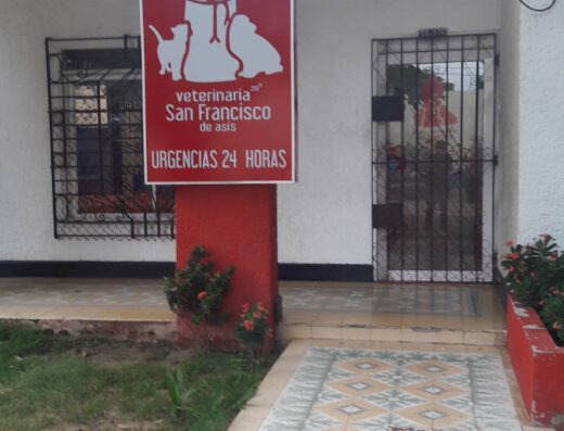 Clinica Veterinaria San Francisco de Asis