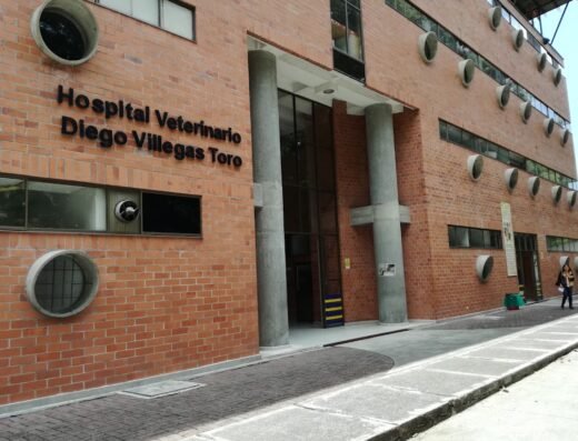 Clínica Veterinaria – Universidad de Caldas