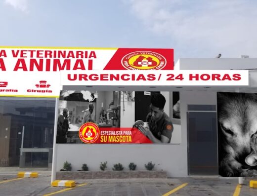 Clínica Veterinaria Vida Animal S.A.S.