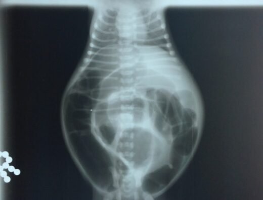Clínica Veterinaria Zooricatos