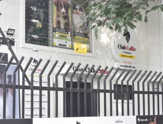 Club Collie Colombiano