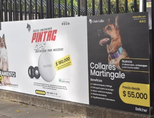 Club Collie Colombiano