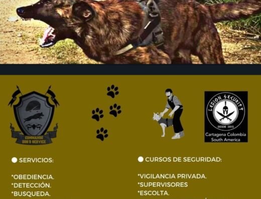Command Dog’s Service