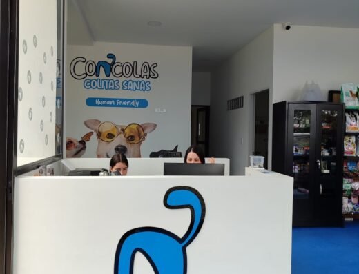 Concolas – Centro de Bienestar para Mascotas