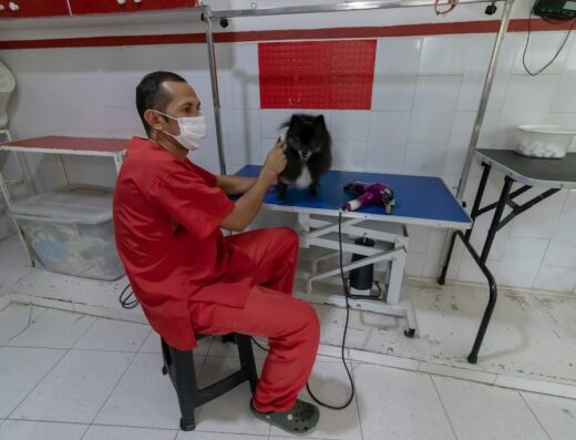 Consultorio Veterinario Carolina Gómez – Salon Canino