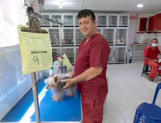 Consultorio Veterinario Carolina Gómez – Salon Canino