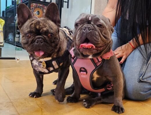 CORA CENTRO VETERINARIO