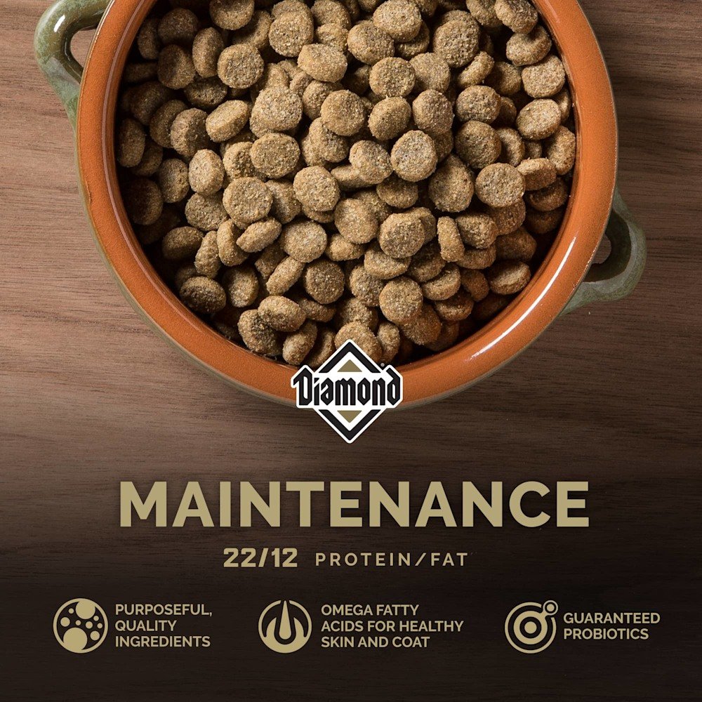 Diamond Maintenance Alimento para Perro Adulto 2 Croqueta Diamond Maintenance perro adulto