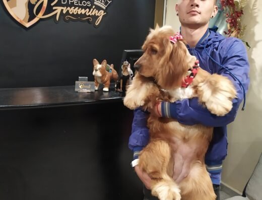 D’pelos Grooming
