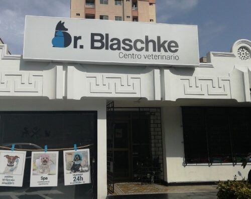 DR. BLASCHKE VETERINARIO