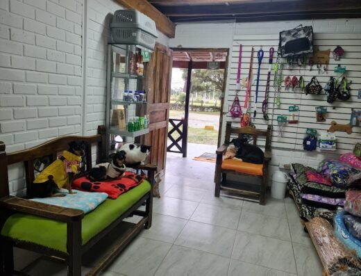 El EDEN veterinaria ,Guarderia,Estetica Canina el Edén