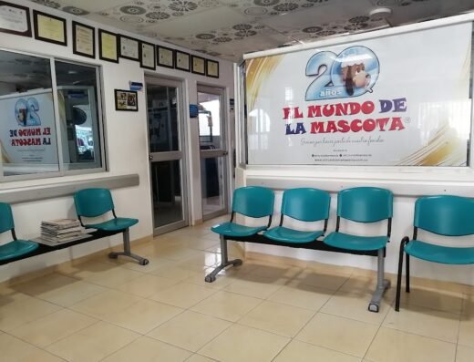 El Mundo de la Mascota