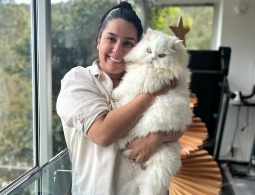 entregatto
