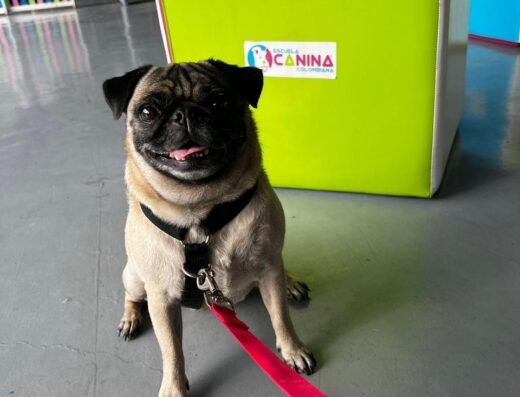 Escuela Canina Colombiana
