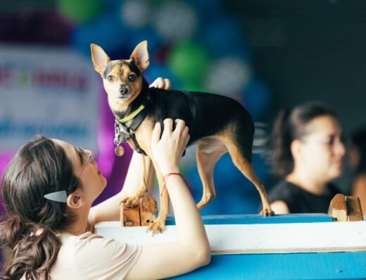 Escuela Canina Colombiana