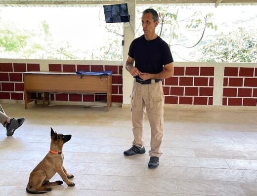 Escuela Canina Diestros