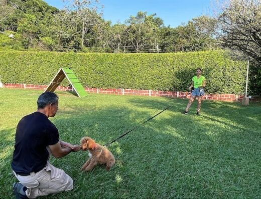 Escuela Canina Diestros