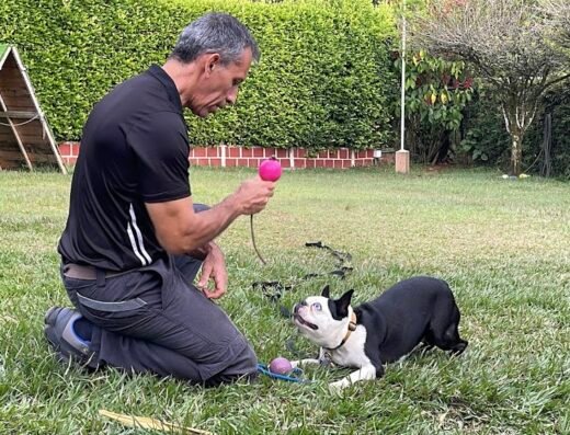 Escuela Canina Diestros