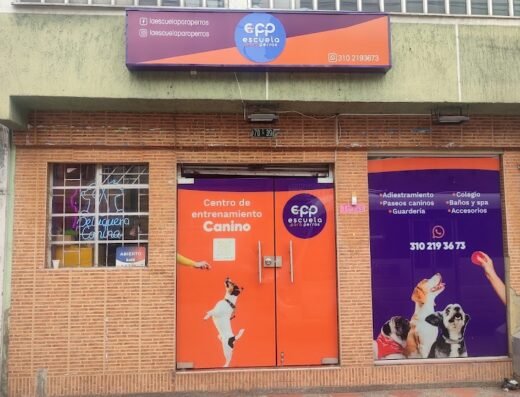 Escuela Para Perros