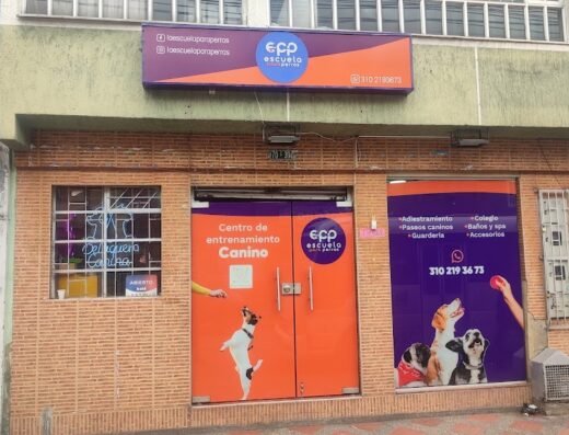Escuela Para Perros