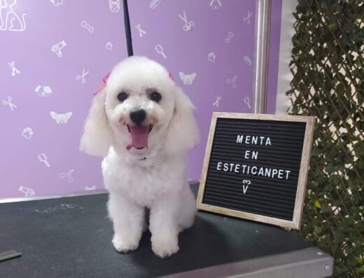 EsteticanPet