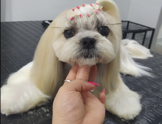 EsteticanPet