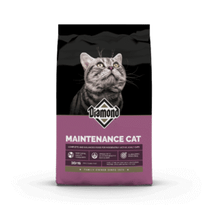 Diamond Maintenance alimento para gato adulto