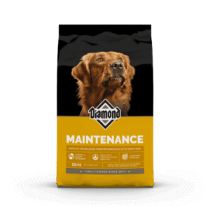 Diamond Maintenance alimento para perro adulto