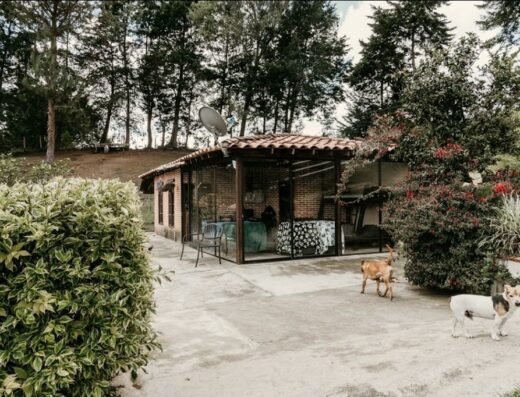 Guardería canina DeMente Animal
