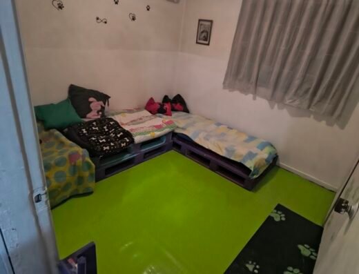 Guardería Canina y Felina VIP-2AS Academia