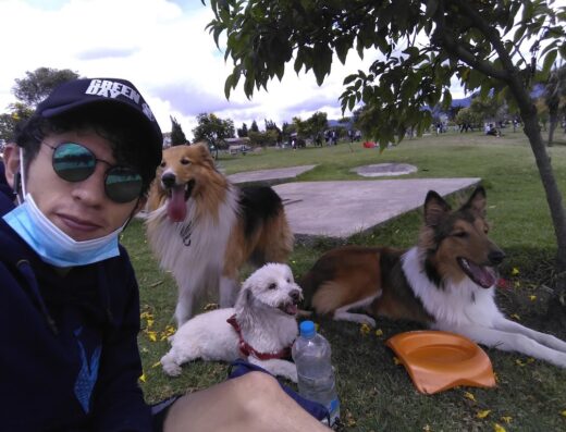 Guardería Jacob paseos caninos fatima tunal alrededores solo whatsapp