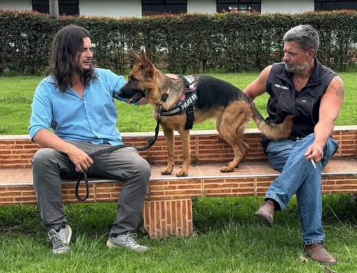 Hans Scola Adiestramiento Caninos