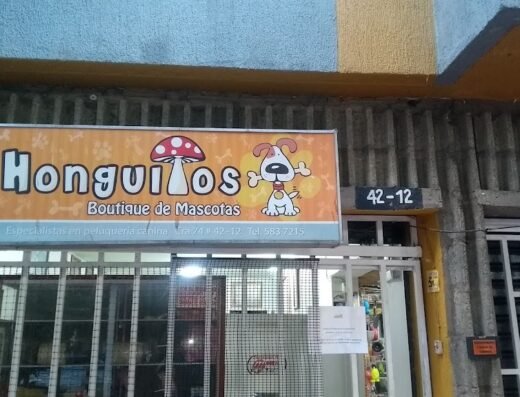 Honguitos boutique de Mascotas