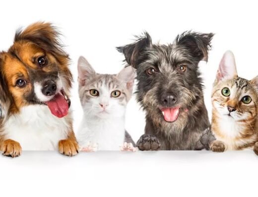 La Estrella Clínica Veterinaria y Centro de Nutrición