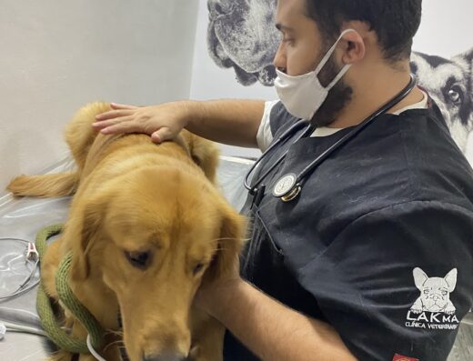 LAKma Clínica Veterinaria 24 Horas SEDE BOSQUE