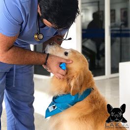 LAKma Clínica Veterinaria 24 Horas SEDE ZONA NORTE