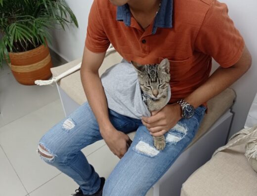 LAVET RADIOLOGY