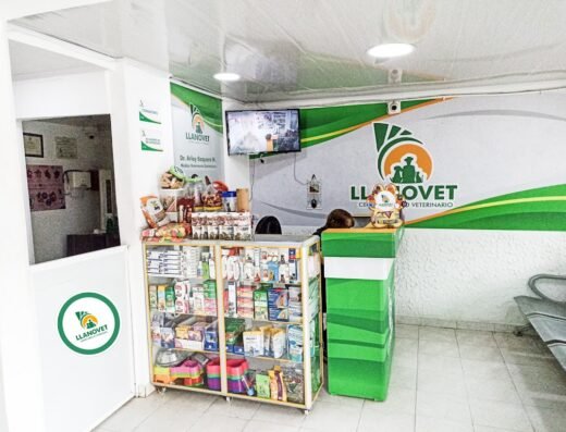 Llanovet Centro Médico Veterinario