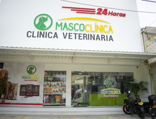 MASCOCLINICA CLINICA VETERINARIA