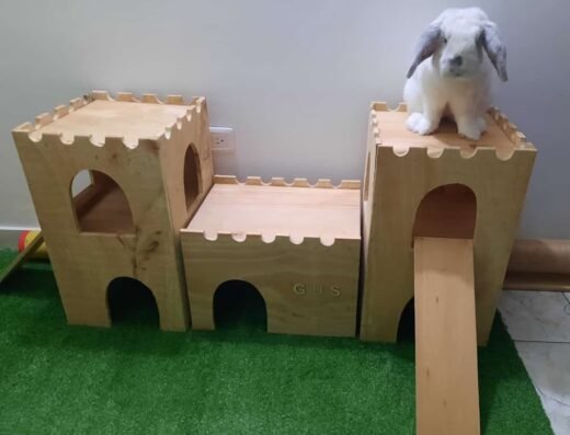 Mascotascol-Conejoscol petshop
