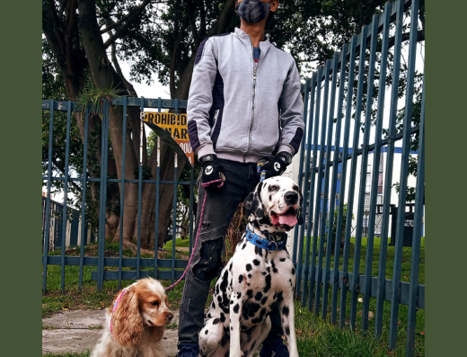 Master Dog educación Canina