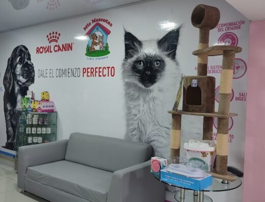 MIS MASCOTAS CLINICA VETERINARIA