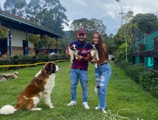 Mundo canino