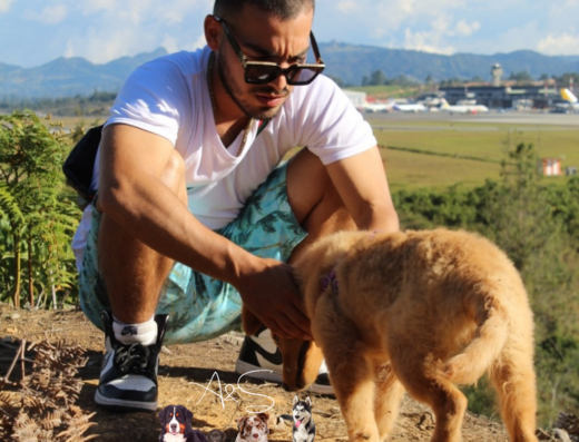 Mundo canino