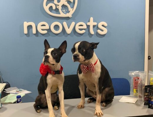 NEOVETS clínica veterinaria